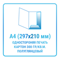 Папка вырубная (мелованный полуглянцевый картон 300 гр./кв.м., односторонняя печать) 10435